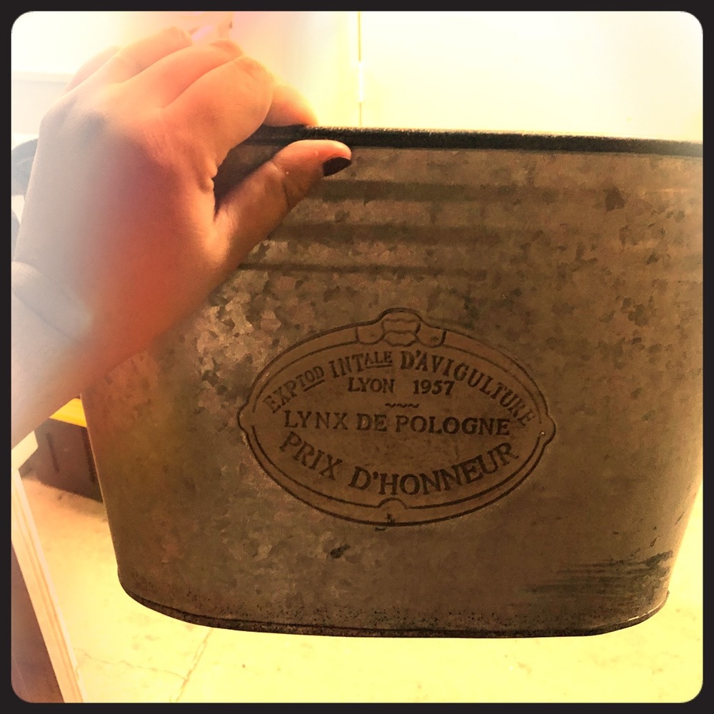 Galvanized Parisian planter /bucket